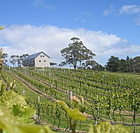 Bruny Island Premium Wines Bar and Grill - Accommodation Brunswick Heads