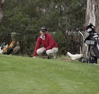 Tasmania Golf Club - The - Accommodation Brunswick Heads
