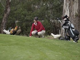 Tasmania Golf Club - The - Accommodation Brunswick Heads 0