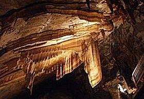 Gunns Plains Cave - Accommodation Brunswick Heads 0