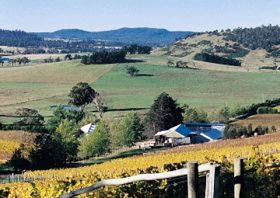Freycinet Vineyards Pty Ltd - Accommodation Brunswick Heads 0