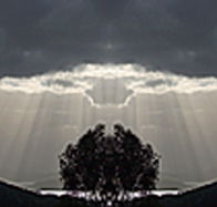 aart. Gallery of Fine Art - Accommodation Brunswick Heads