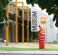 Queen Victoria Museum and Art Gallery - Accommodation Brunswick Heads