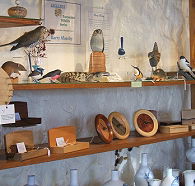 Touchwood Craft Gallery Gifts and Cafe - Accommodation Brunswick Heads