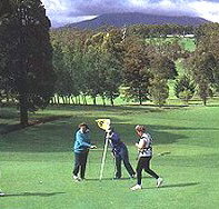 Deloraine Golf Course - Accommodation Brunswick Heads