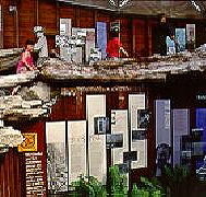 West Coast Visitor Information and Booking Centre - Accommodation Brunswick Heads