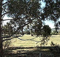Cygnet Public Golf Course - Accommodation Brunswick Heads