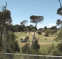 Greens Beach Golf Course - Accommodation Brunswick Heads