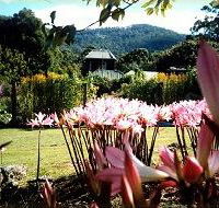 Blueberry Cottage Open Gardens - Accommodation Brunswick Heads
