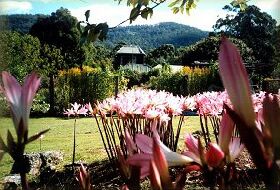 Blueberry Cottage Open Gardens - Accommodation Brunswick Heads 0