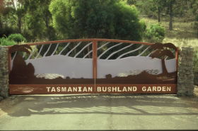 Tasmanian Bushland Garden - Accommodation Brunswick Heads 0