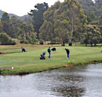 Penguin Golf Course - Accommodation Brunswick Heads