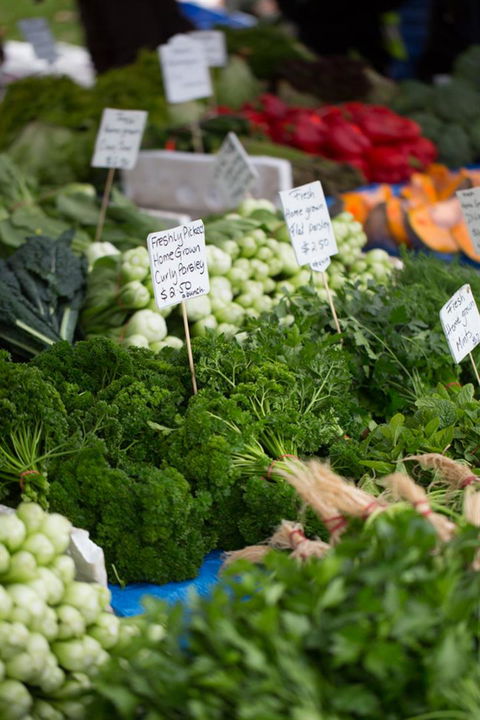 Salamanca Market - Accommodation Brunswick Heads 5