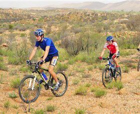 Araluen Mountain Bike Trails - Accommodation Brunswick Heads 0