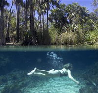 Bitter Springs - Accommodation Brunswick Heads