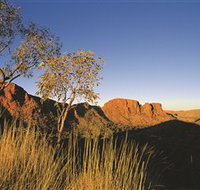 Trephina Gorge Nature Park - Accommodation Brunswick Heads