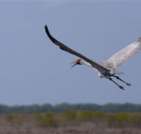 Gayngaru Wetlands Interpretive Walk - Accommodation Brunswick Heads