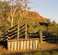 Illamurta Springs Conservation Reserve - Accommodation Brunswick Heads