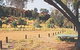 Native Gap Conservation Reserve - thumb 0