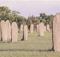 Magnetic Termite Mounds - Accommodation Brunswick Heads