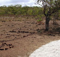 Wurrwurrwuy Garanhan Macassan Beach Interpretive Walk - Accommodation Brunswick Heads