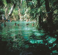 Mataranka Thermal Pool - Accommodation Brunswick Heads