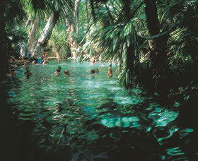 Mataranka Thermal Pool - Accommodation Brunswick Heads 0