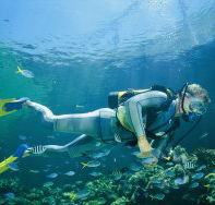 Kirra Reef Dive Site - Accommodation Brunswick Heads