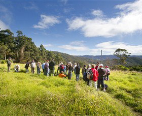 Neranwood QLD Accommodation Brunswick Heads