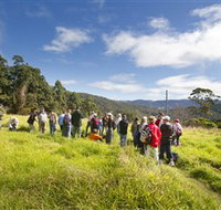 Apple Tree Park - Accommodation Brunswick Heads