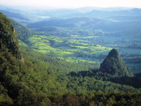 Springbrook Plateau, Springbrook National Park - Accommodation Brunswick Heads 0