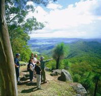 Gold Coast Hinterland Great Walk - Accommodation Brunswick Heads
