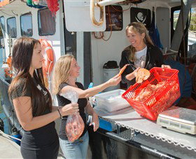 Gold Coast Fishermens Co-operative Limited - Accommodation Brunswick Heads 0