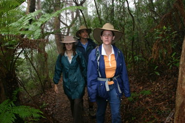 Mount Cougal, Springbrook National Park - Accommodation Brunswick Heads 0