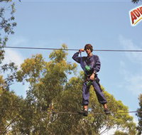 Adventure Parc at Currumbin Wildlife Sanctuary - Accommodation Brunswick Heads