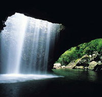 Natural Bridge Springbrook National Park - Accommodation Brunswick Heads