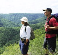 Sunshine Coast Hinterland Great Walk - Accommodation Brunswick Heads
