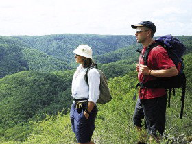 Sunshine Coast Hinterland Great! Walk - Accommodation Brunswick Heads 0