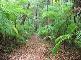 Mapleton QLD Accommodation Brunswick Heads