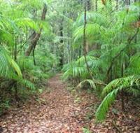 Delicia Road Conservation Park - Accommodation Brunswick Heads
