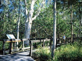 Kinaba Track - Accommodation Brunswick Heads 0
