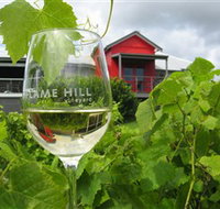 Flame Hill Vineyard - Accommodation Brunswick Heads