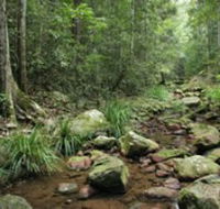 Amamoor State Forest - Accommodation Brunswick Heads