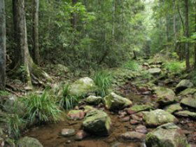 Amamoor State Forest - Accommodation Brunswick Heads 0