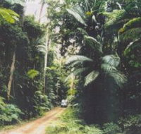 Conondale Great Walk - Accommodation Brunswick Heads