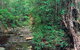 Mudlo National Park - thumb 0