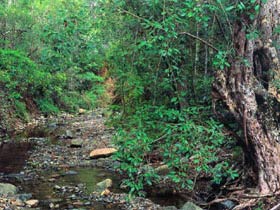 Mudlo National Park - Accommodation Brunswick Heads 0