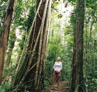 Wet Tropics - Accommodation Brunswick Heads