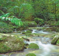 Mossman Gorge Daintree National Park - Accommodation Brunswick Heads