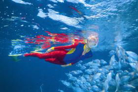 Great Detached Reef Dive Site - Accommodation Brunswick Heads 0